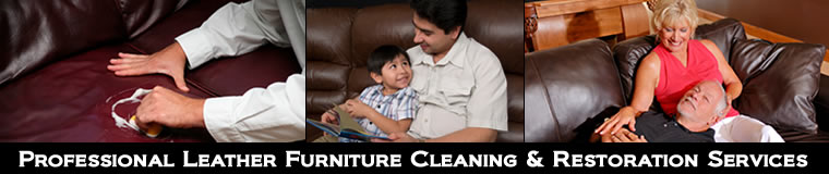 Professional leather cleaning Services